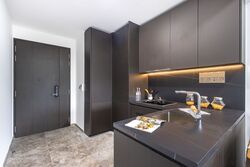 Hyll On Holland (D10), Condominium #501188211